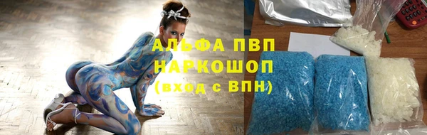 СК Белокуриха