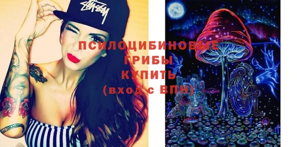 СК Белокуриха