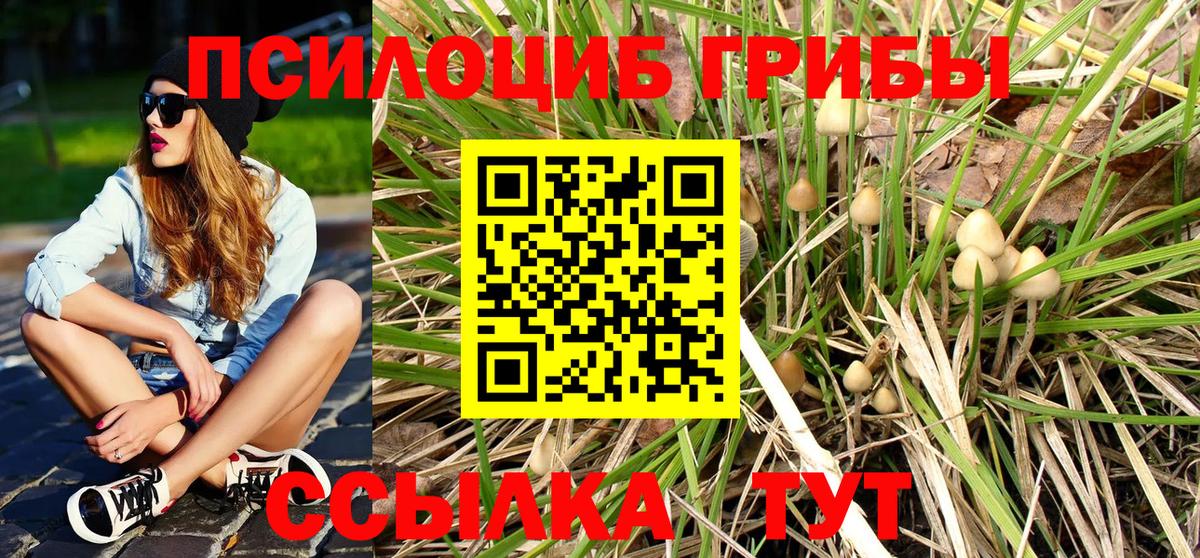 Галлюциногенные грибы Magic Shrooms  Вход с VPN  Бутурлиновка 