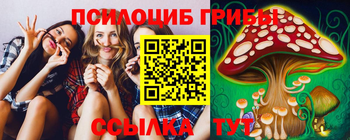 Галлюциногенные грибы Cubensis Бутурлиновка